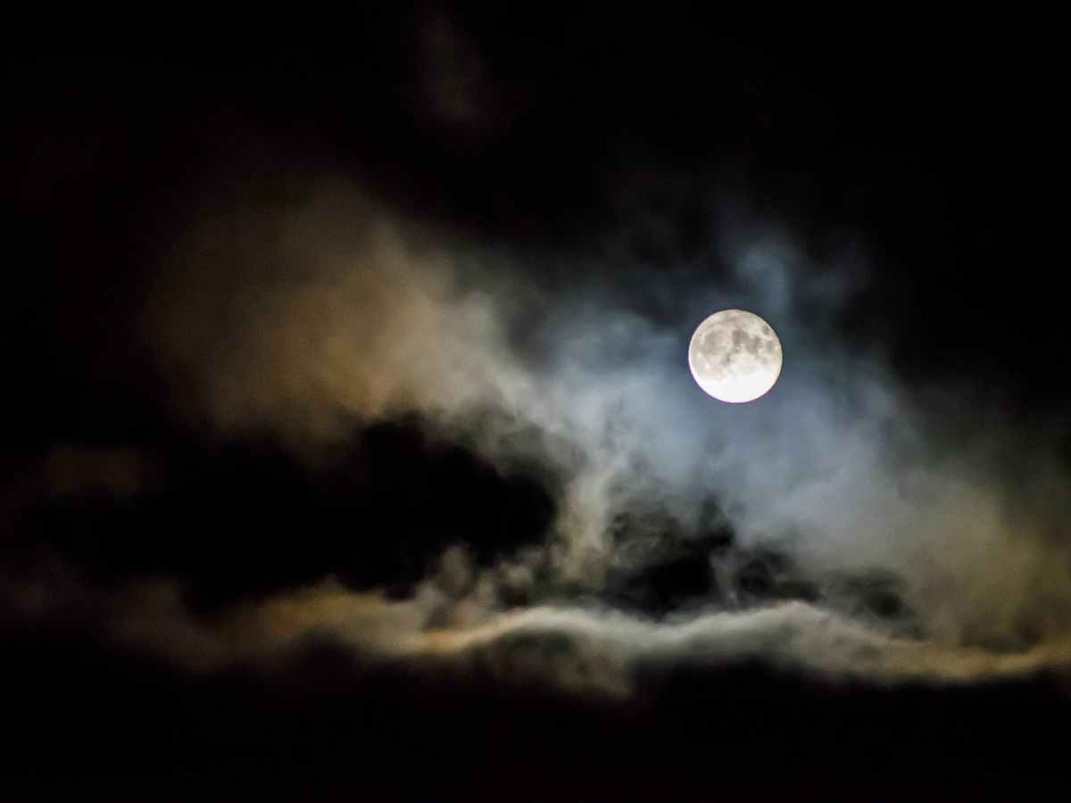 Horror og gys 2021: mine&nbsp;favorit-kanaler