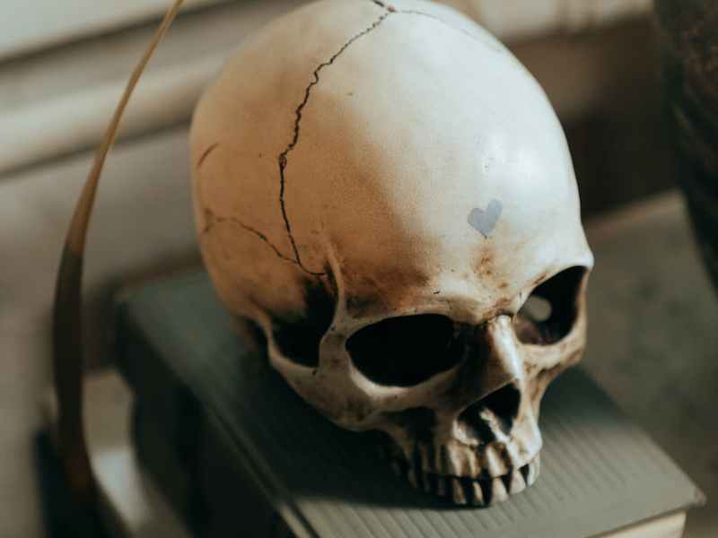 Geniale lydbøger til dig der elsker true crime og alt&nbsp;overnaturligt